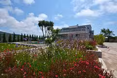 Villa Flamingo Outdoors