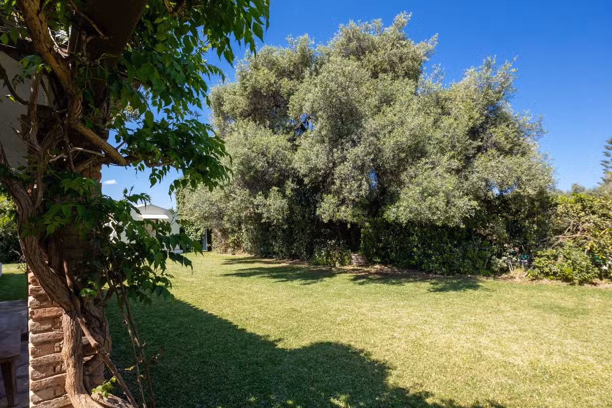 Villa Venus