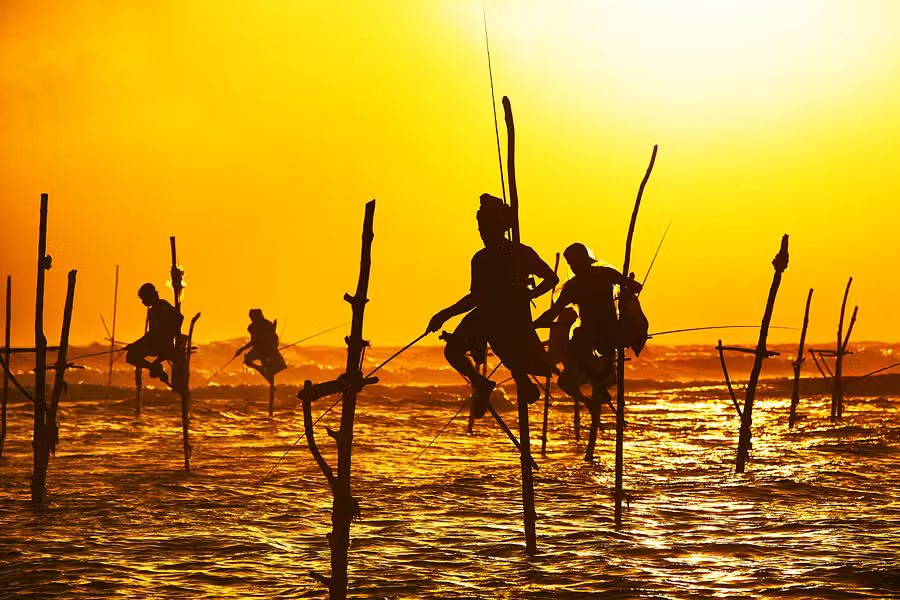 Club Hotel Dolphin, Sri Lanka