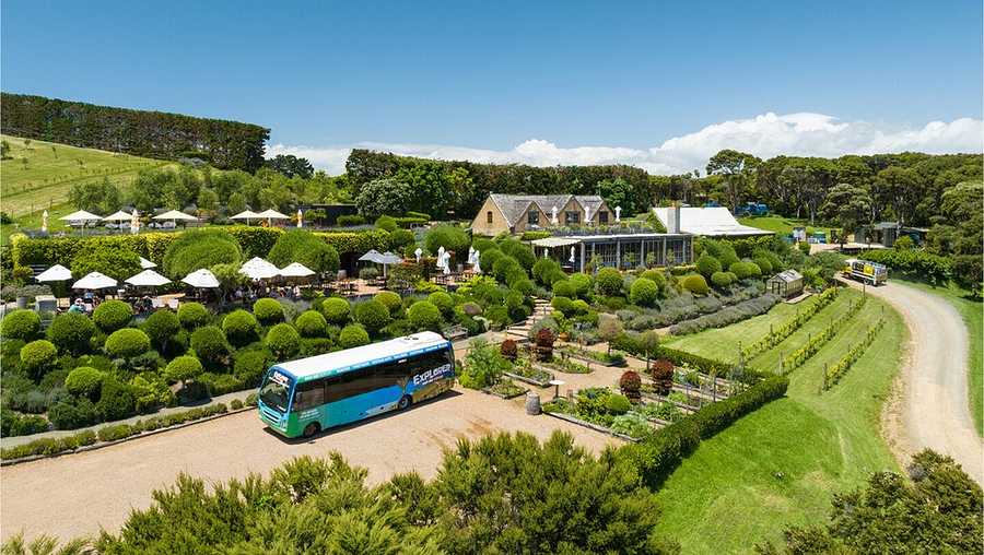 Waiheke Explorer Hop-on Hop-off Tour