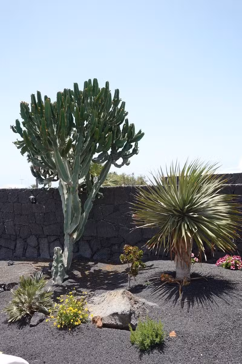 Casa Lydia Garden