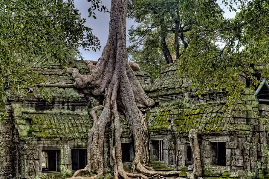 12 Nights,  Vietnam Family Adventure
