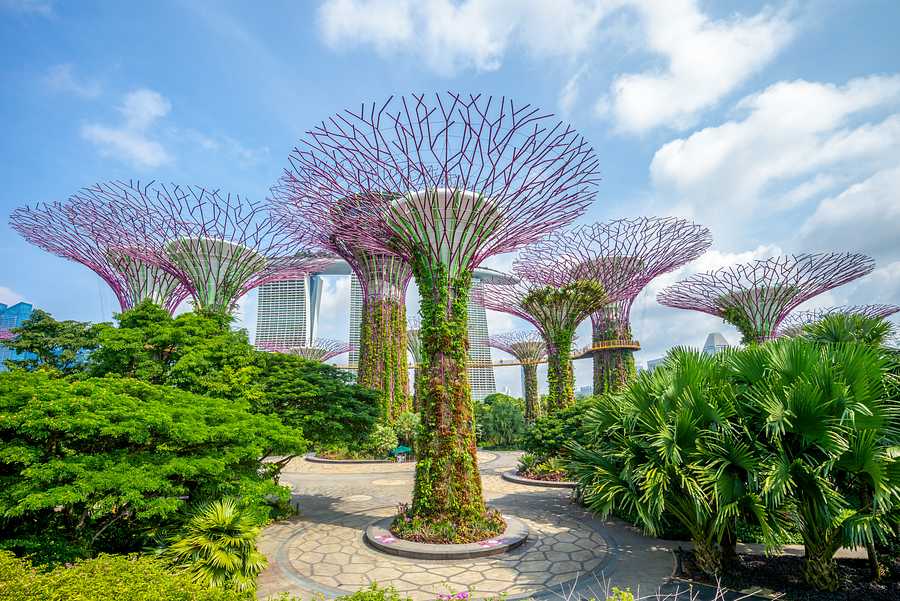,  Singapore  and  Thailand