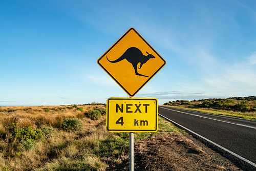 Best Scenic Drives and Road Trips in Australia