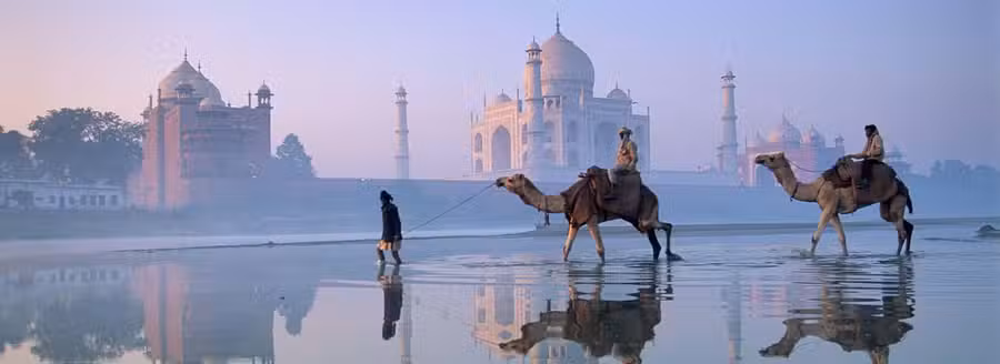 Tigers & the Taj Mahal,  India