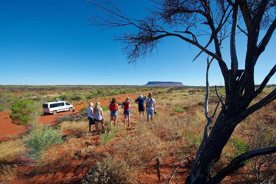 Mt Conner 4WD Adventure