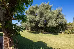 Villa Venus