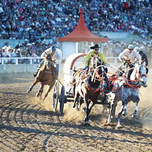 Calgary Stampede