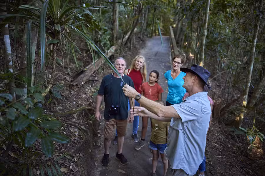 Rainforest and Nocturnal Wildlife Spotlighting