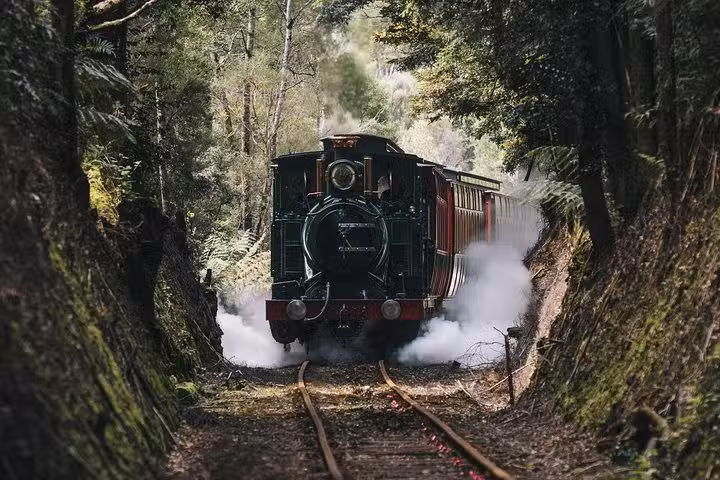 Rack and Gorge Railway Tour