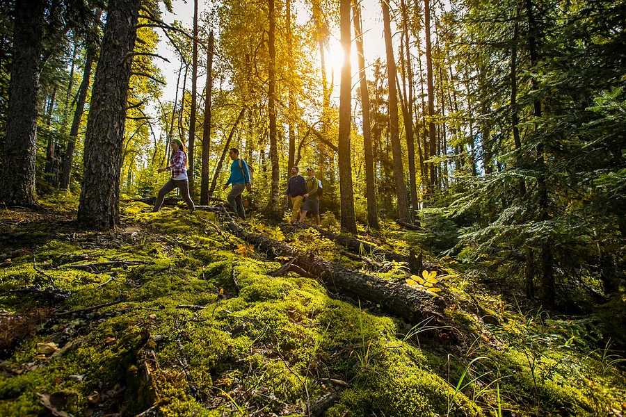 Prince Albert National Park