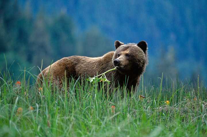 Up close to the wildlife