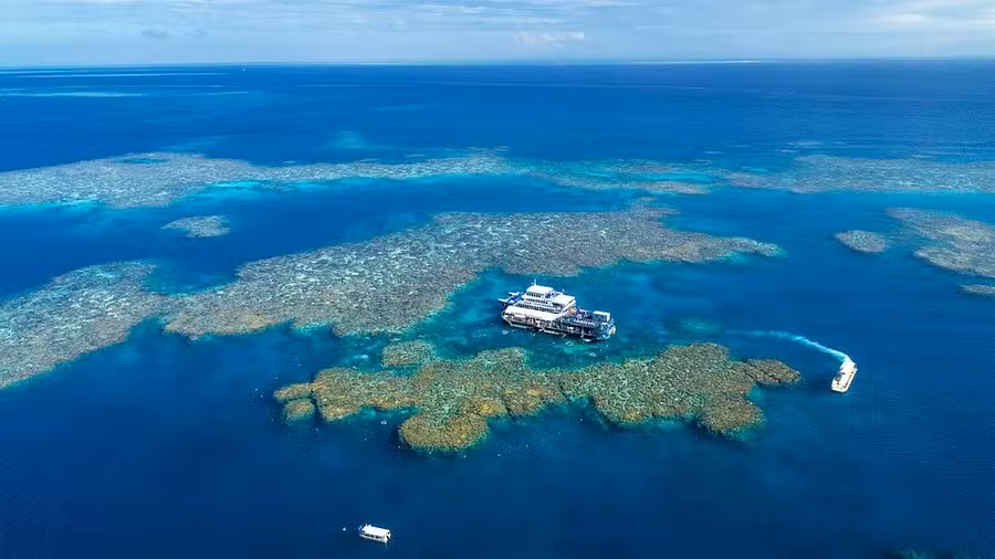 Moore Reef Outer Barrier Reef Tour