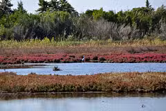 Villa Flamingo