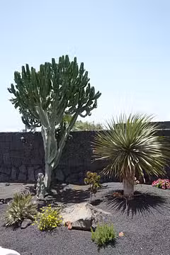 Casa Lydia Garden