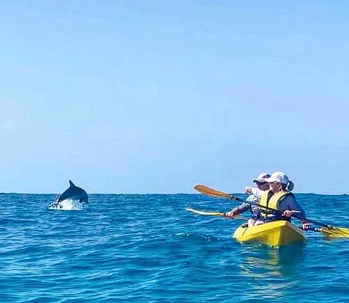 Dolphin View Sea Kayak & Beach 4WD Tour