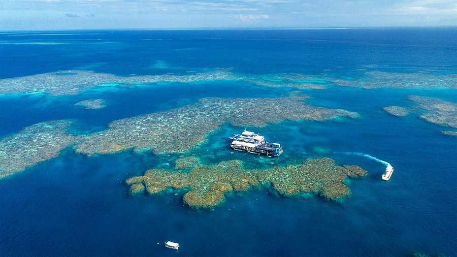 Moore Reef Outer Barrier Reef Tour