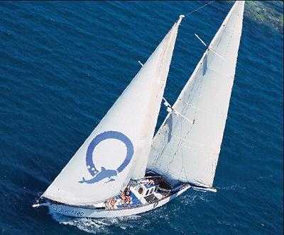 Free Sail to Green Island and Great Barrier Reef