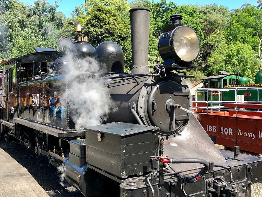 Full Day Puffing Billy and Penguin Tour