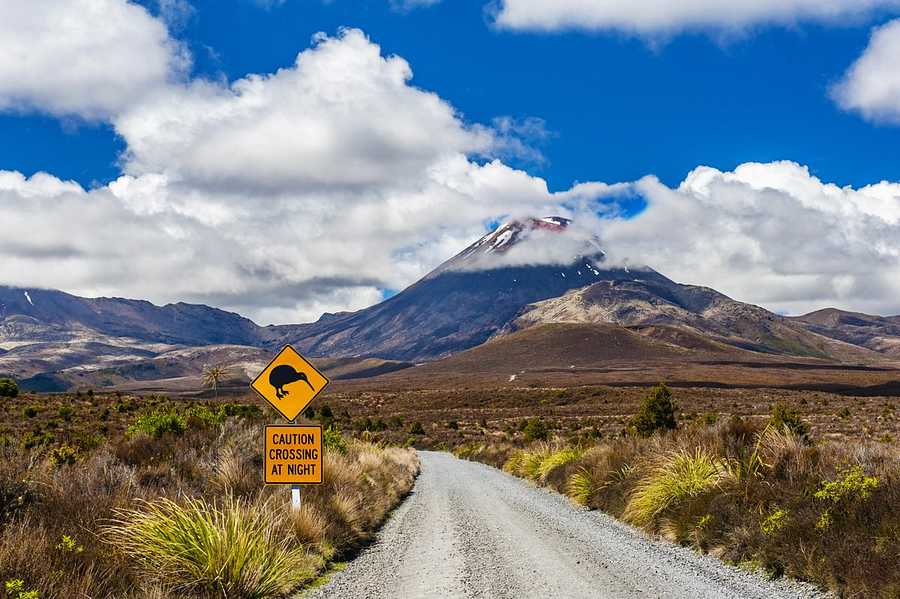 Best Scenic Drives and Road Trips in New Zealand