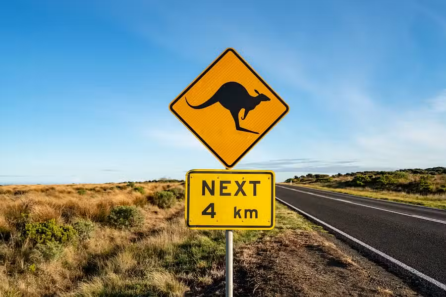 Best Scenic Drives and Road Trips in Australia