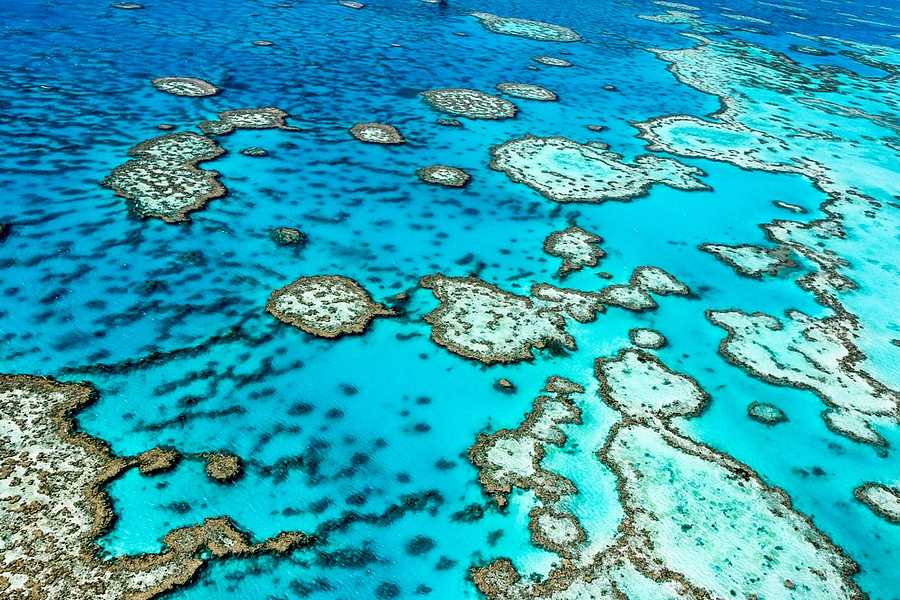 Great Barrier Reef Cruise