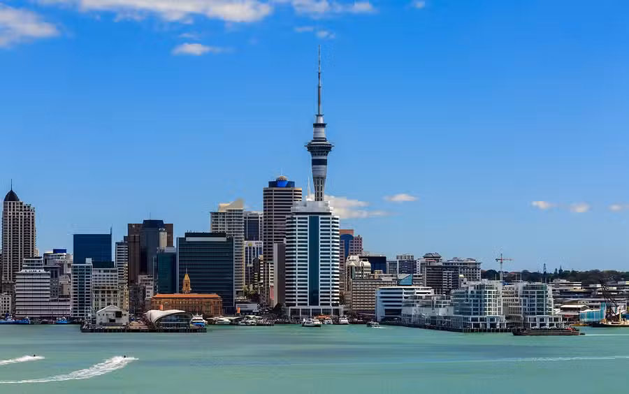 Auckland City Discovery Tour