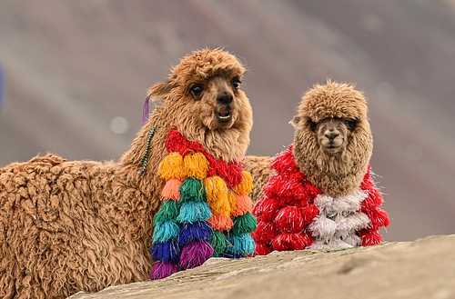 Latin America Holidays