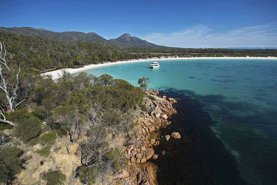 Wineglass Bay Cruise