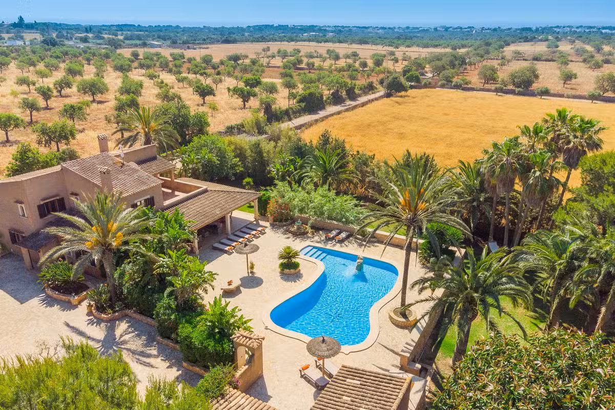 Villa Es Jardi pool