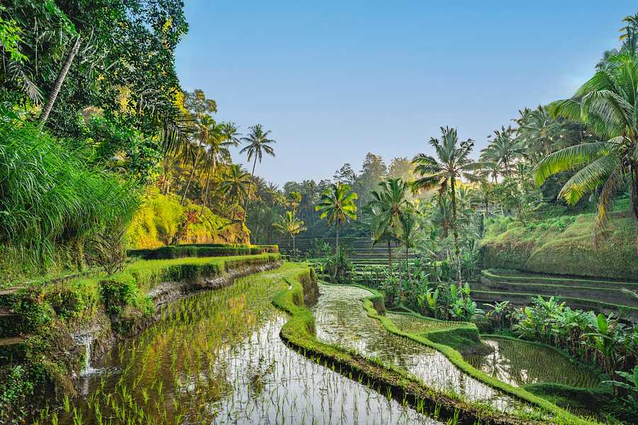 ,  Bali