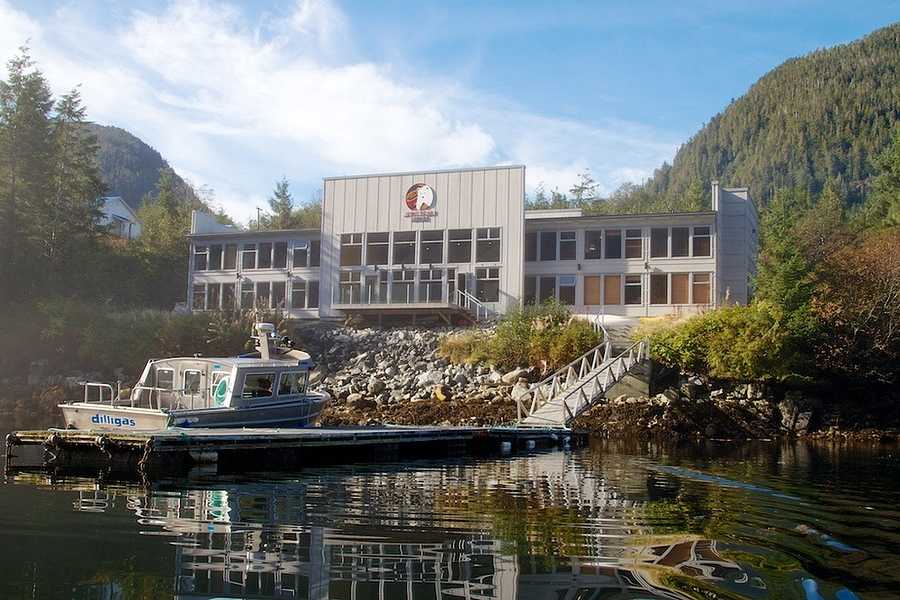Spirit Bear Lodge