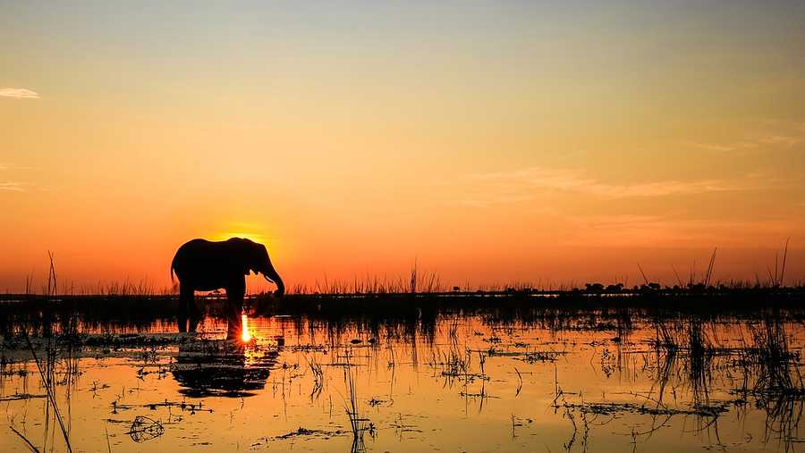 South Africa Holidays