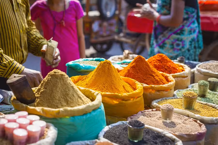 10 Nights,  India Cuisine & Culture