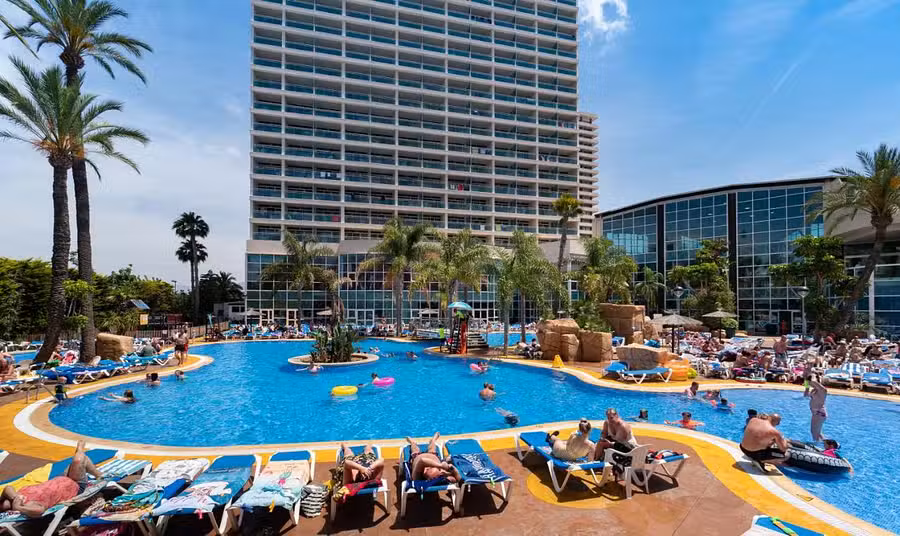 Flamingo Oasis, Tunisia