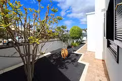 Villa Andorra front garden