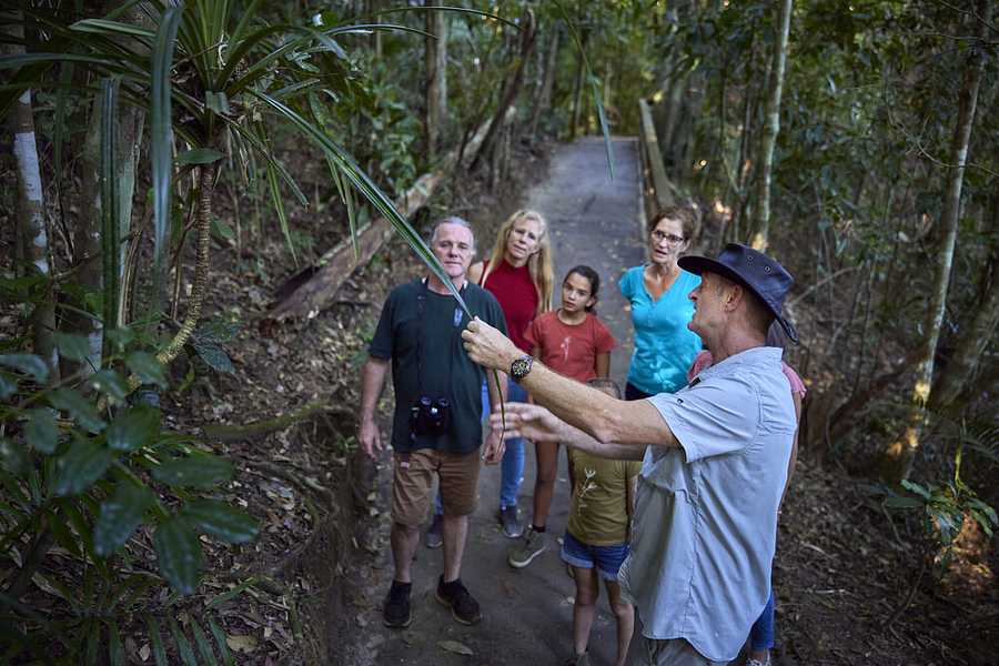 Rainforest and Nocturnal Wildlife Spotlighting