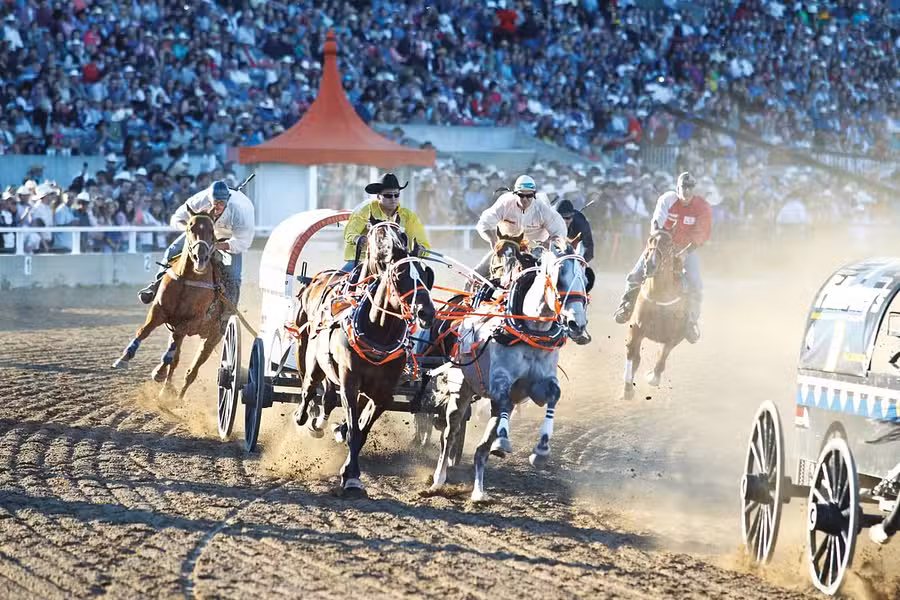 Calgary Stampede