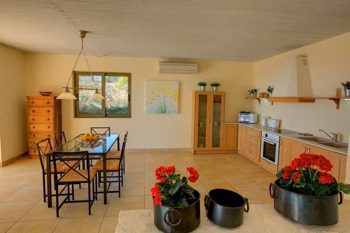 Villa Ippocampos kitchen