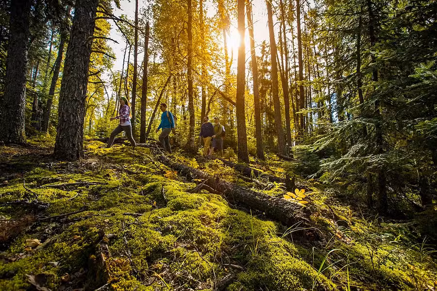 Prince Albert National Park