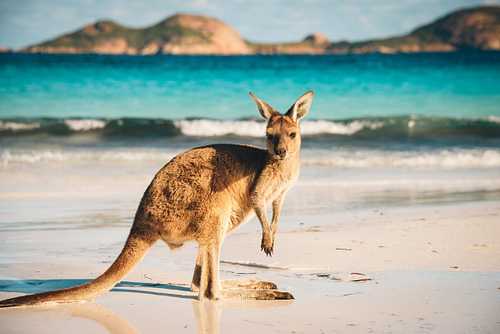 Australia Holidays