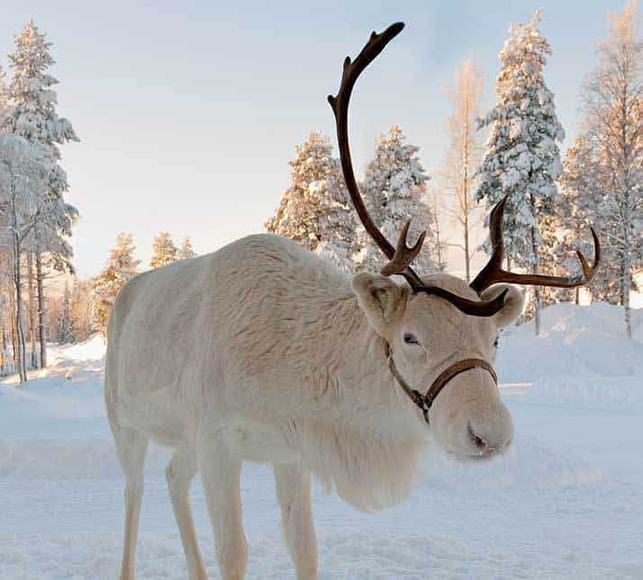 Health and Travel Insurance