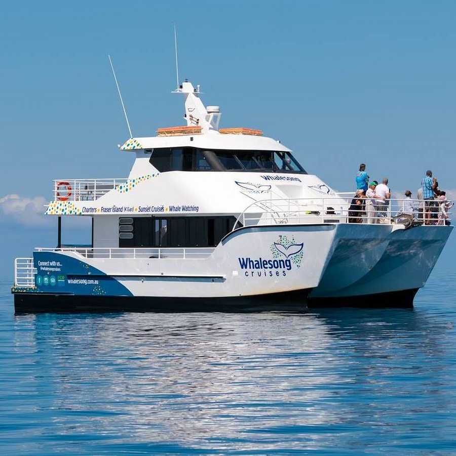 Sunset Whale Watching Cruise from Hervey Bay