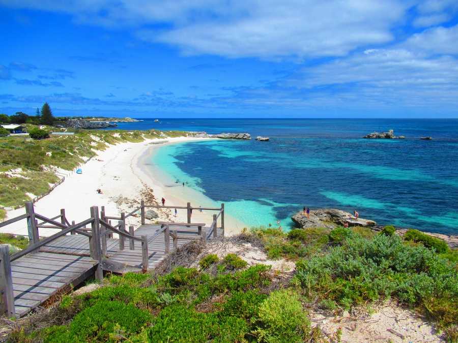 Full Day Experience Rottnest Including Bike Hire